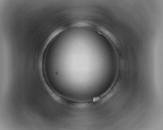 X0000113741426200909301002