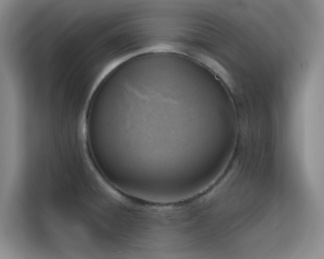 X0000113741428200909301002