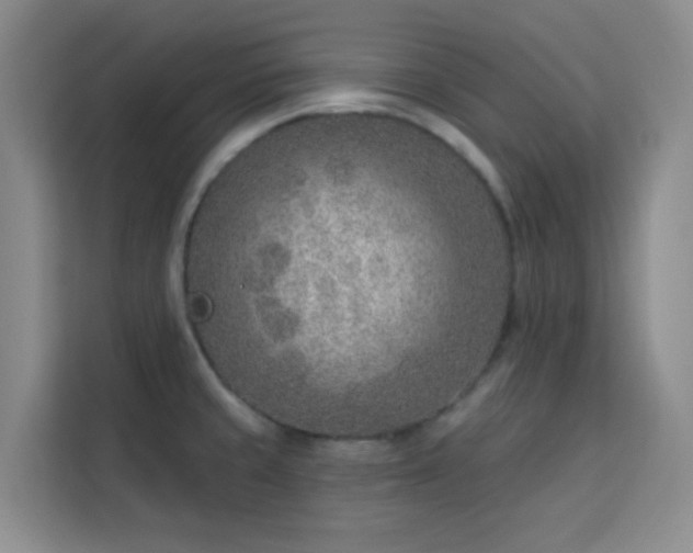 X0000113741429200909301002