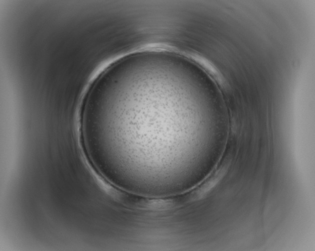 X0000113741430200909301002