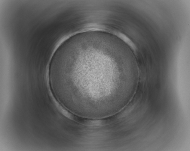 X0000113741431200909301002