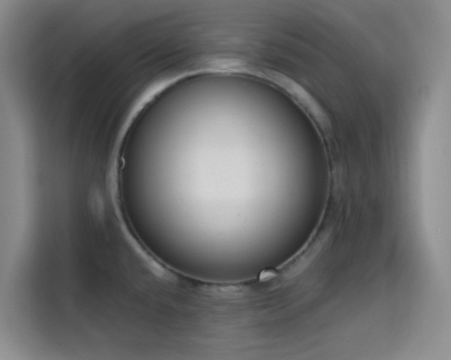 X0000113741432200909301002