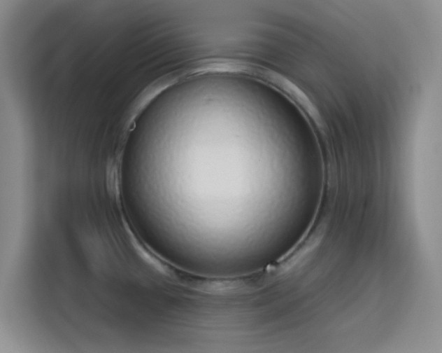 X0000113741433200909301002