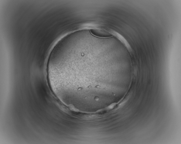 X0000113741435200909301002