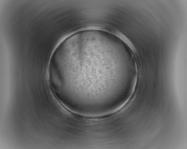 X0000113741436200909301002