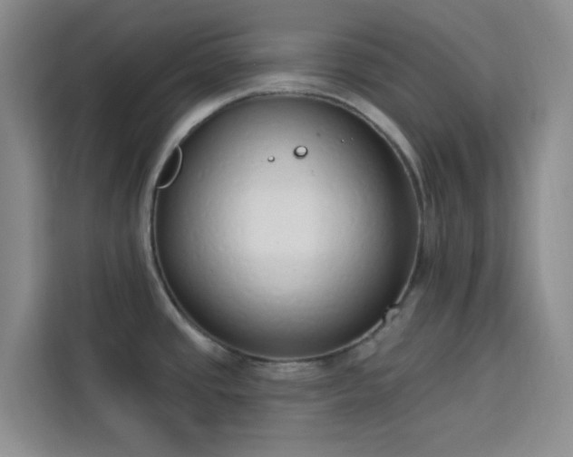 X0000113741437200909301002