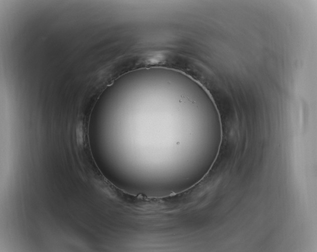 X0000113741442200909301002