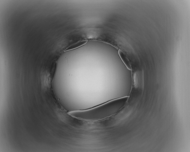 X0000113741443200909301002