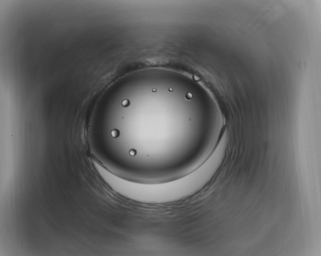 X0000113741444200909301002