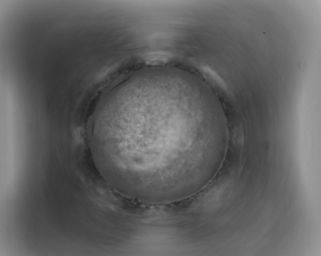 X0000113741445200909301002