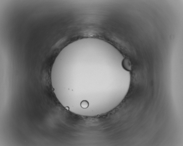 X0000113741446200909301002