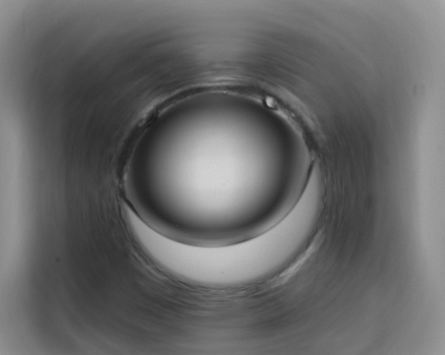 X0000113741449200909301002