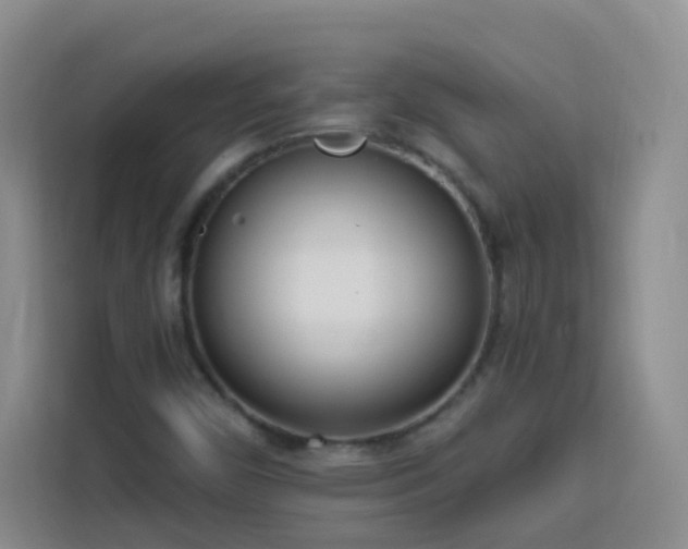 X0000113741450200909301002