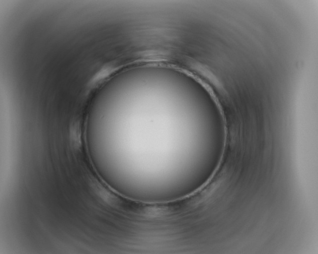 X0000113741451200909301002