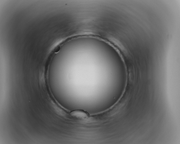 X0000113741452200909301002