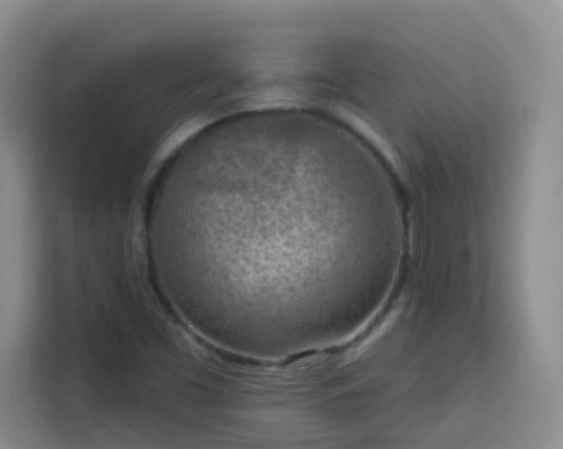 X0000113741453200909301001