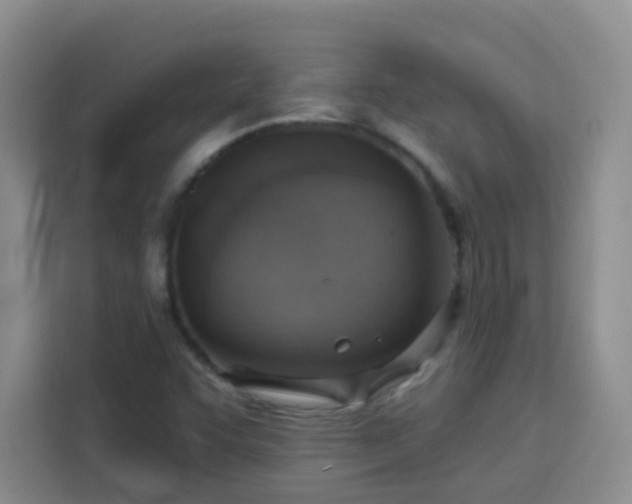 X0000113741455200909301001