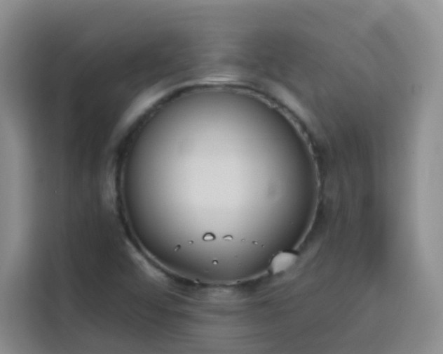 X0000113741456200909301001