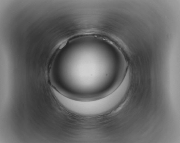 X0000113741457200909301001