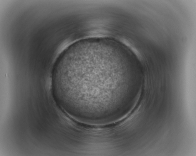 X0000113741459200909301001