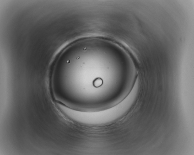 X0000113741460200909301001