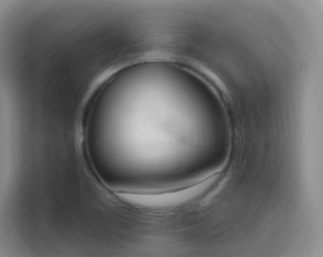 X0000113741461200909301001