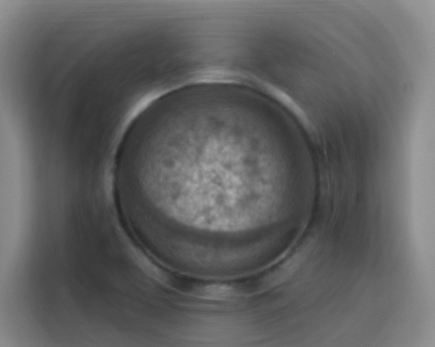 X0000113741463200909301001