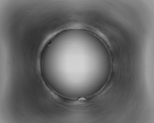 X0000113741464200909301001