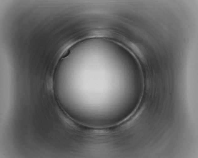 X0000113741465200909301001