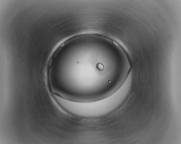 X0000113741468200909301001