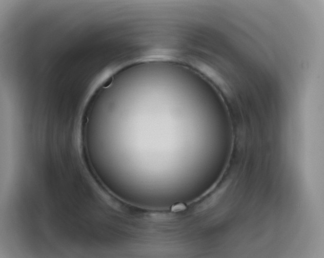 X0000113741469200909301001