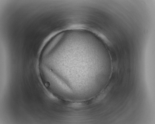 X0000113741470200909301001