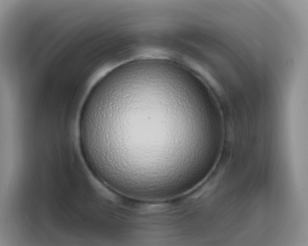 X0000113741471200909301001