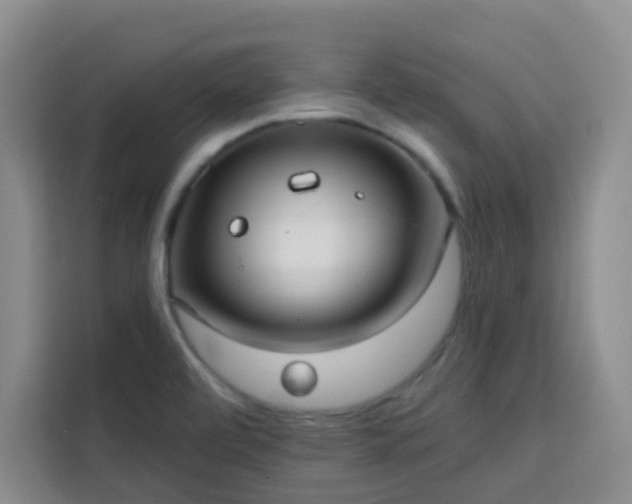 X0000113741472200909301001