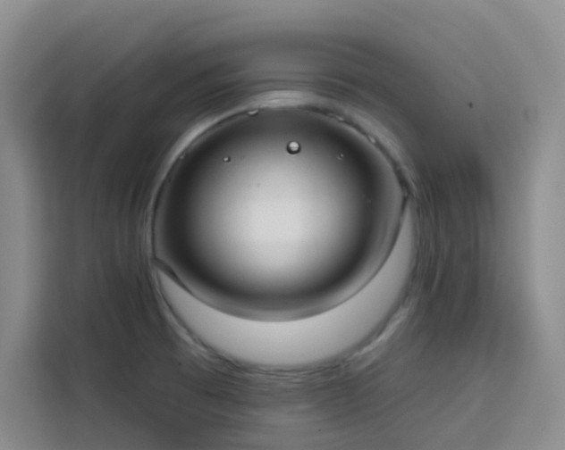 X0000113741473200909301001