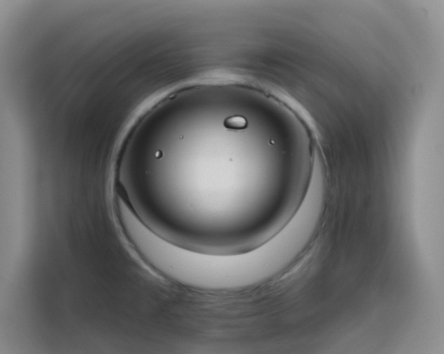 X0000113741477200909301001