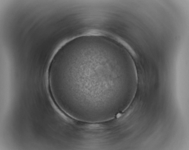 X0000113741479200909301001