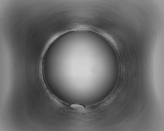 X0000113741480200909301001