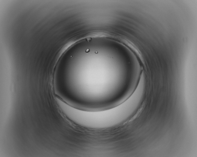 X0000113741481200909301001