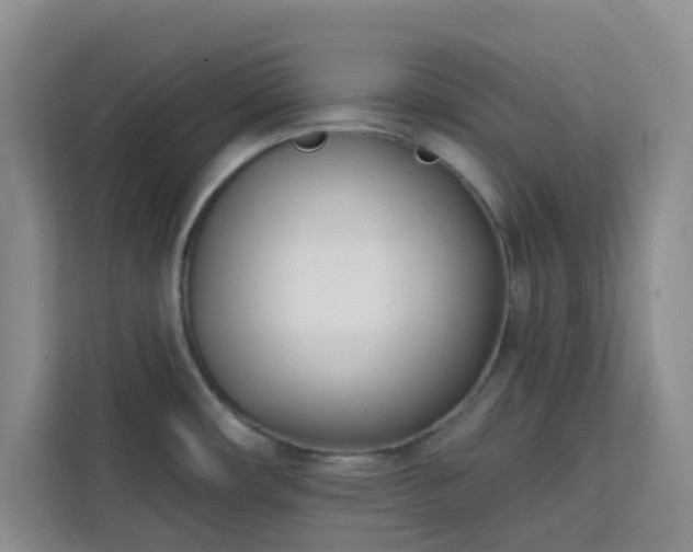 X0000113741482200909301001