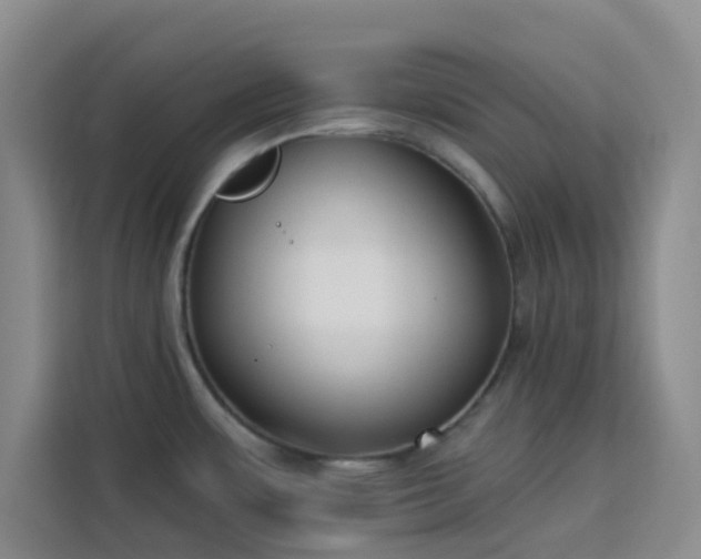 X0000113741483200909301001