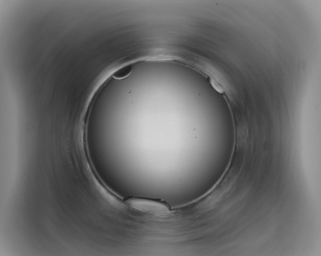 X0000113741484200909301001