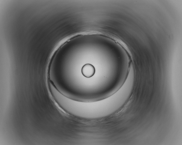 X0000113741485200909301001