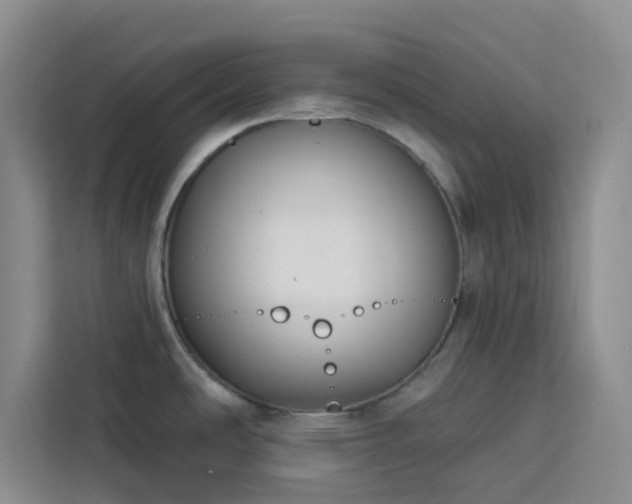 X0000113741486200909301001