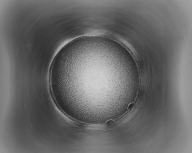 X0000113741487200909301001