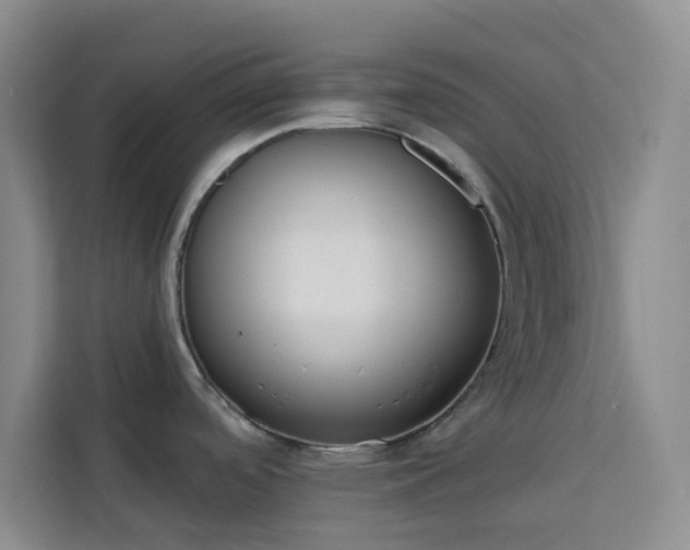 X0000113741488200909301001