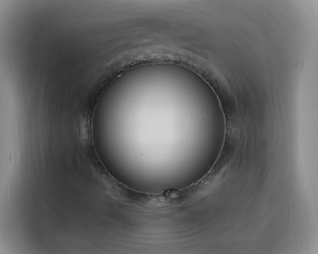 X0000113741490200909301000