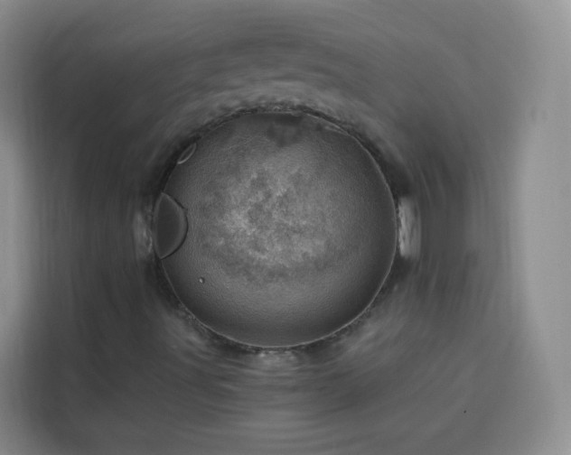 X0000113741491200909301000