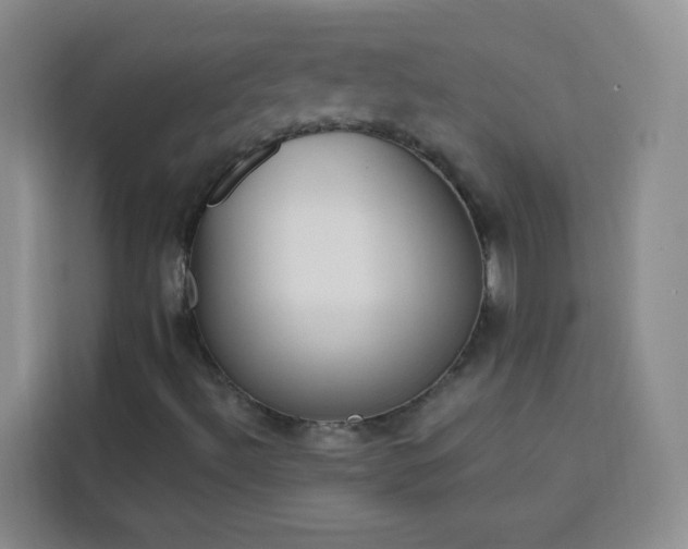 X0000113741492200909301000