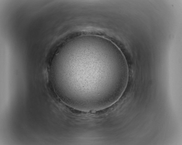 X0000113741493200909301000